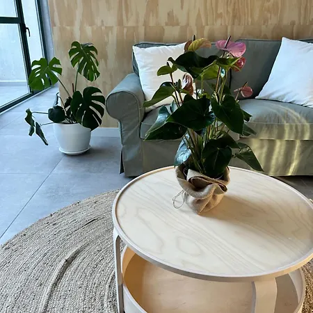 Do Catro ゲストハウス 3*